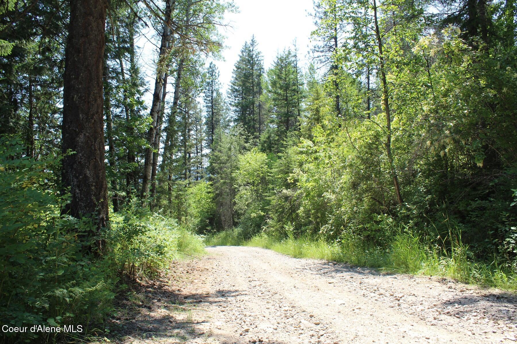 788 Gold Cup Mountain Road Laclede, ID 83841 - Photo 32 of 64 Gold Cup Road