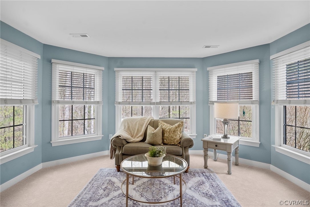 2713 Founders Bridge Road Midlothian, VA 23113 - Photo 24 of 49 a living room with furniture and a window