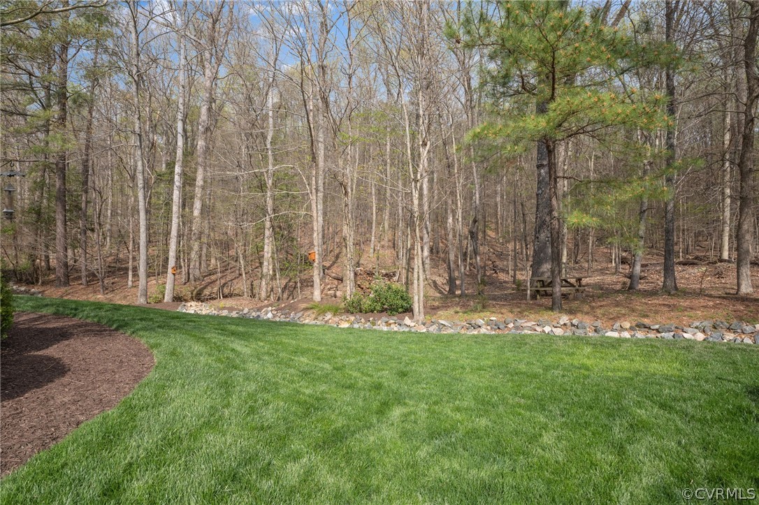 2713 Founders Bridge Road Midlothian, VA 23113 - Photo 38 of 49 a backyard of a house with lots of green space and fountain