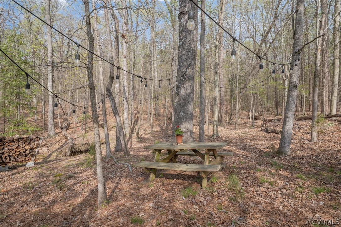 2713 Founders Bridge Road Midlothian, VA 23113 - Photo 39 of 49