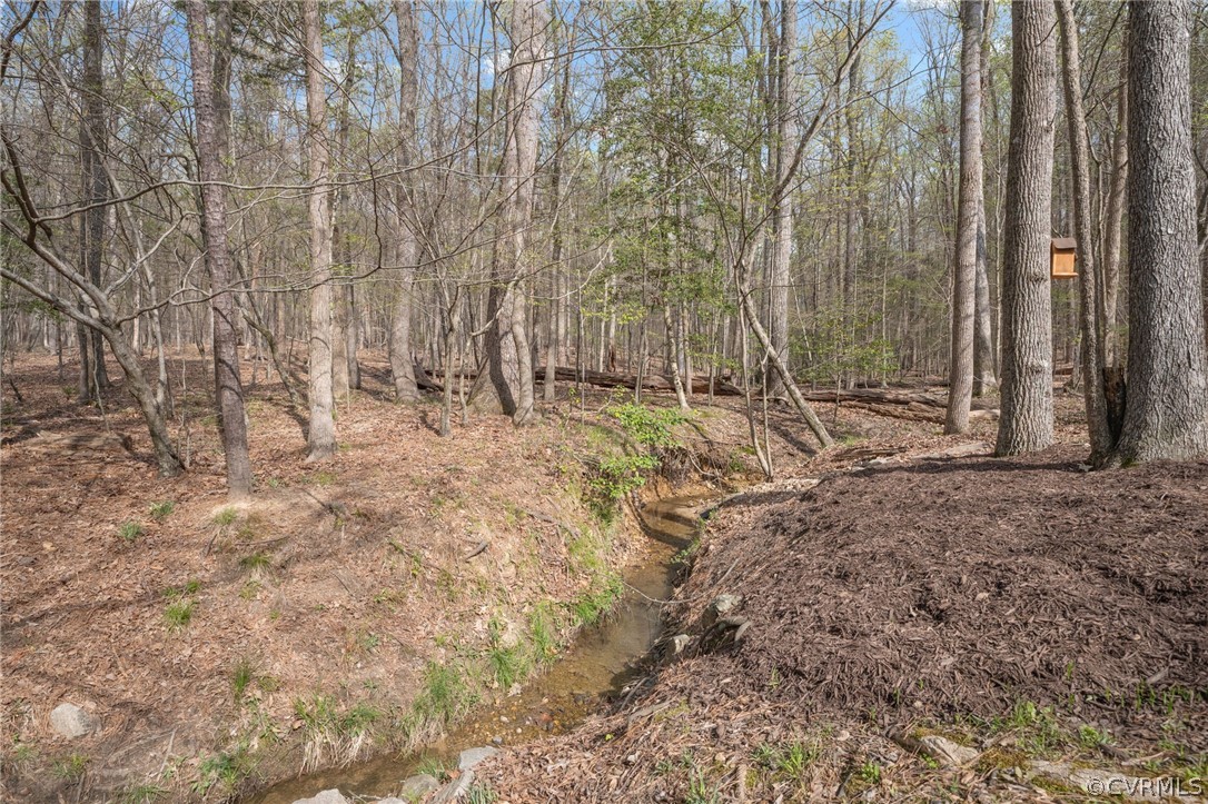 2713 Founders Bridge Road Midlothian, VA 23113 - Photo 40 of 49 a view of forest