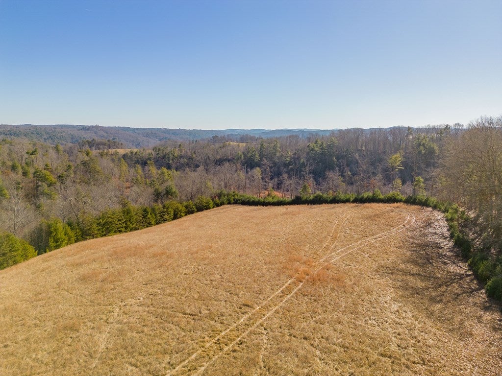 1530 Ridge Road Austinville, VA 24312 - Photo 27 of 62 Gallery Image 27
