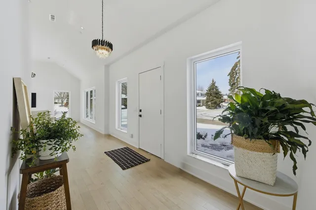 a view of wooden floor and a potted plant in a room