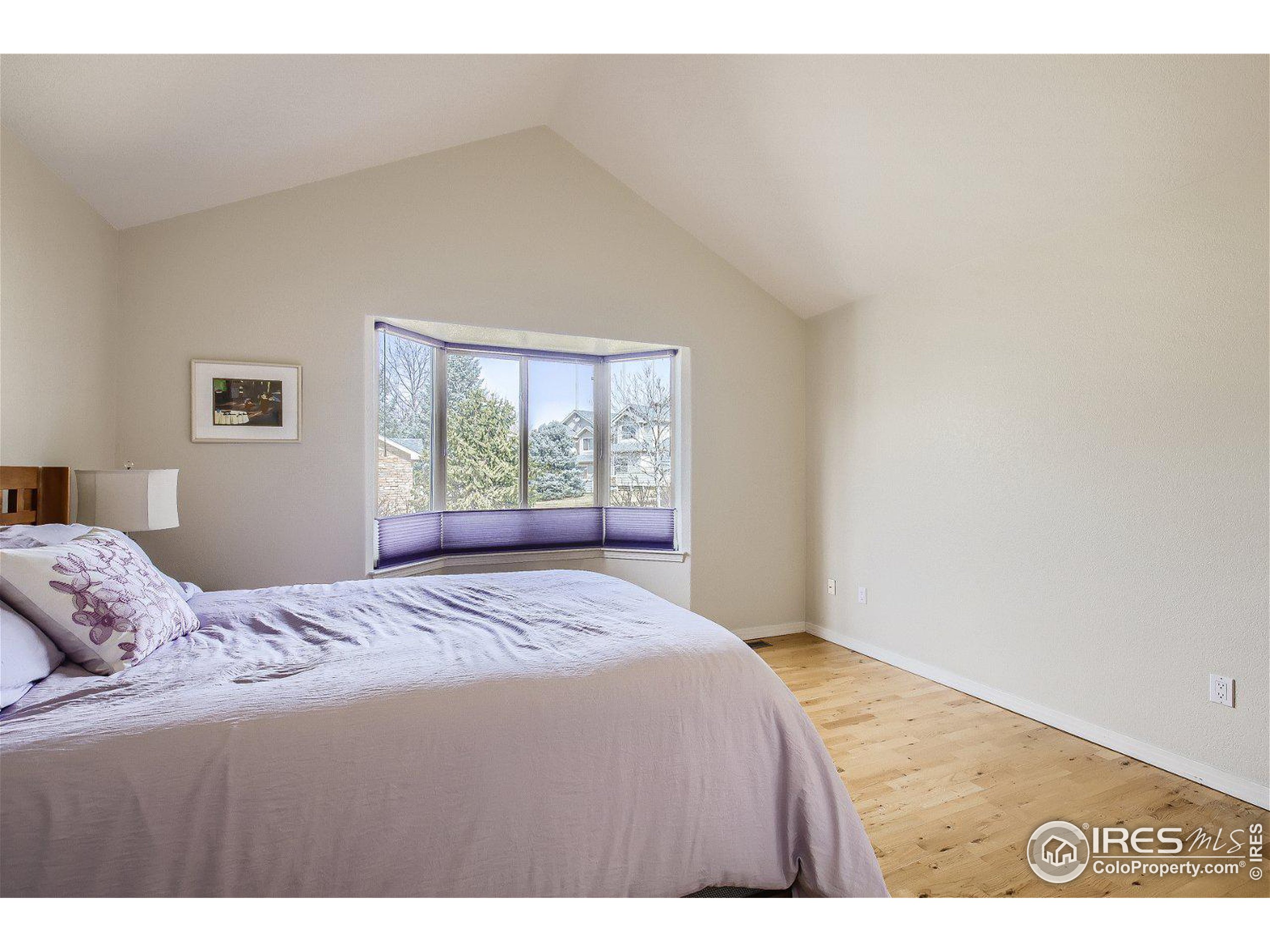 908 Hover Ridge Circle Longmont, CO 80501 - Photo 13 of 27