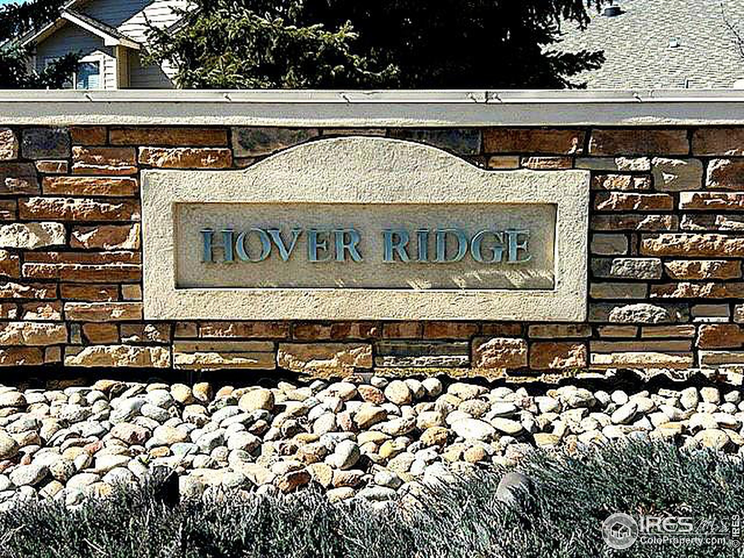 908 Hover Ridge Circle Longmont, CO 80501 - Photo 25 of 27