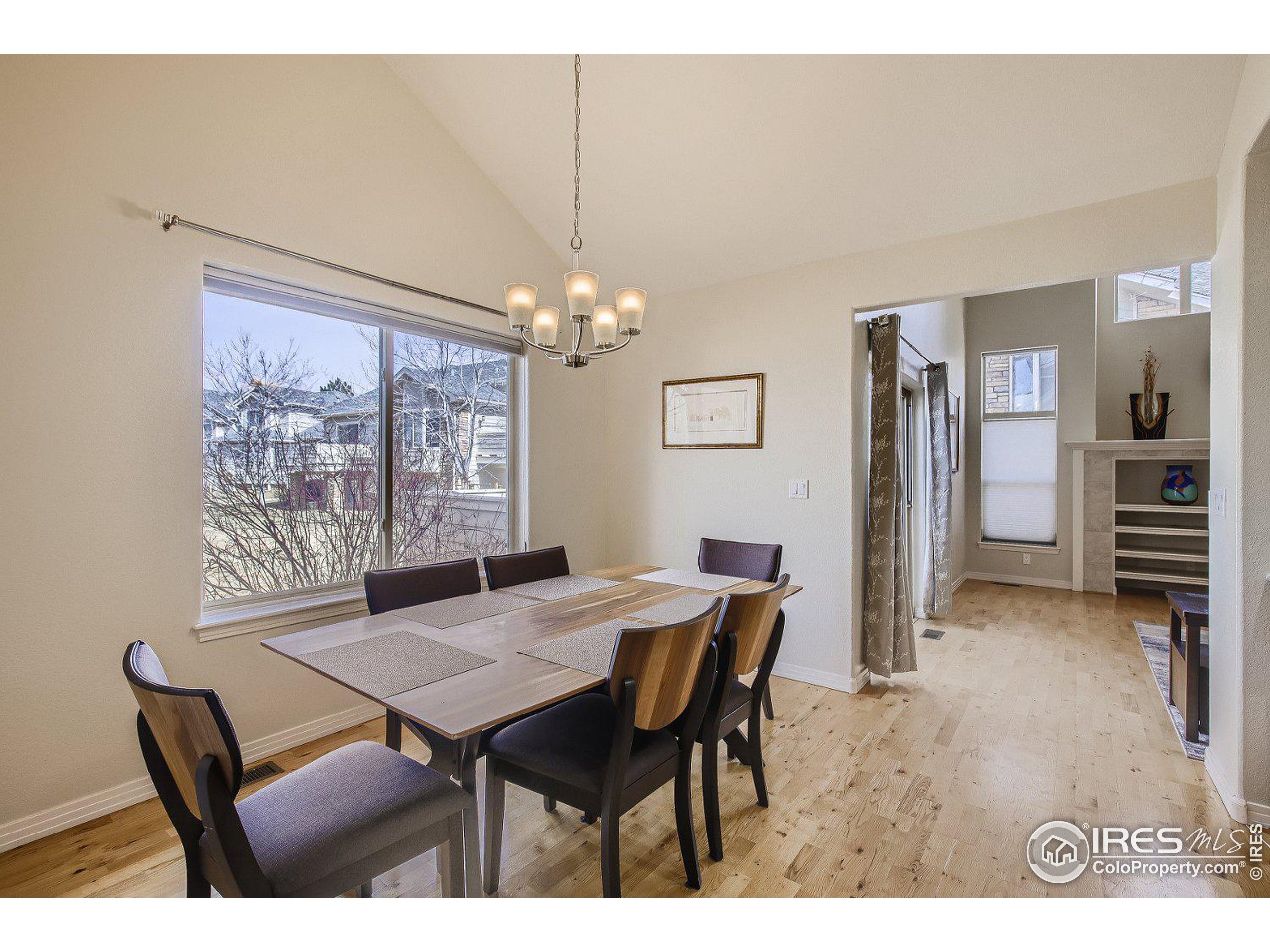 908 Hover Ridge Circle Longmont, CO 80501 - Photo 8 of 27