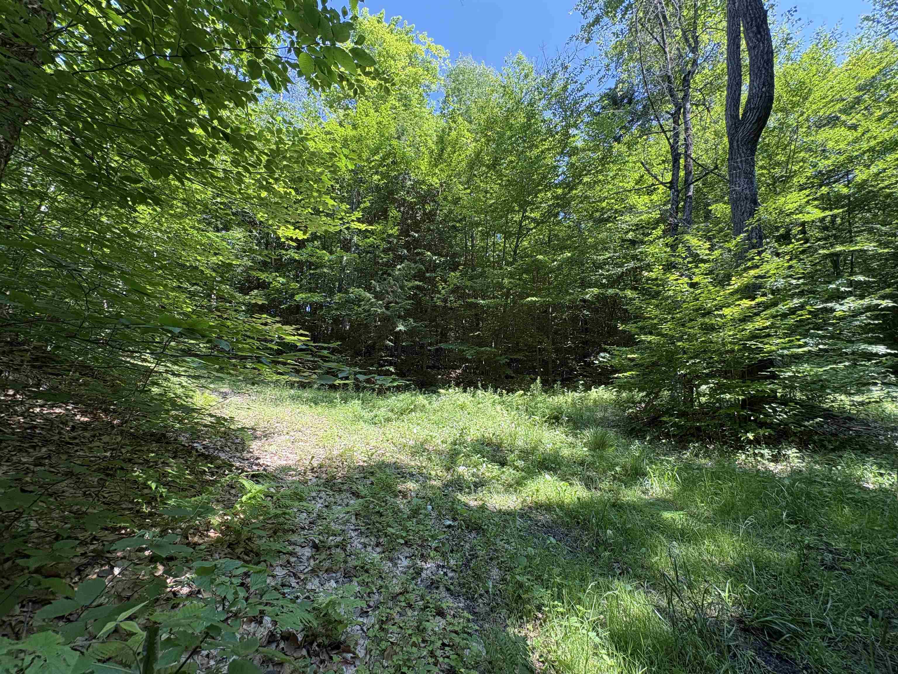 0 Hog Hollow Road Montpelier, VT 05602 - Photo 8 of 14