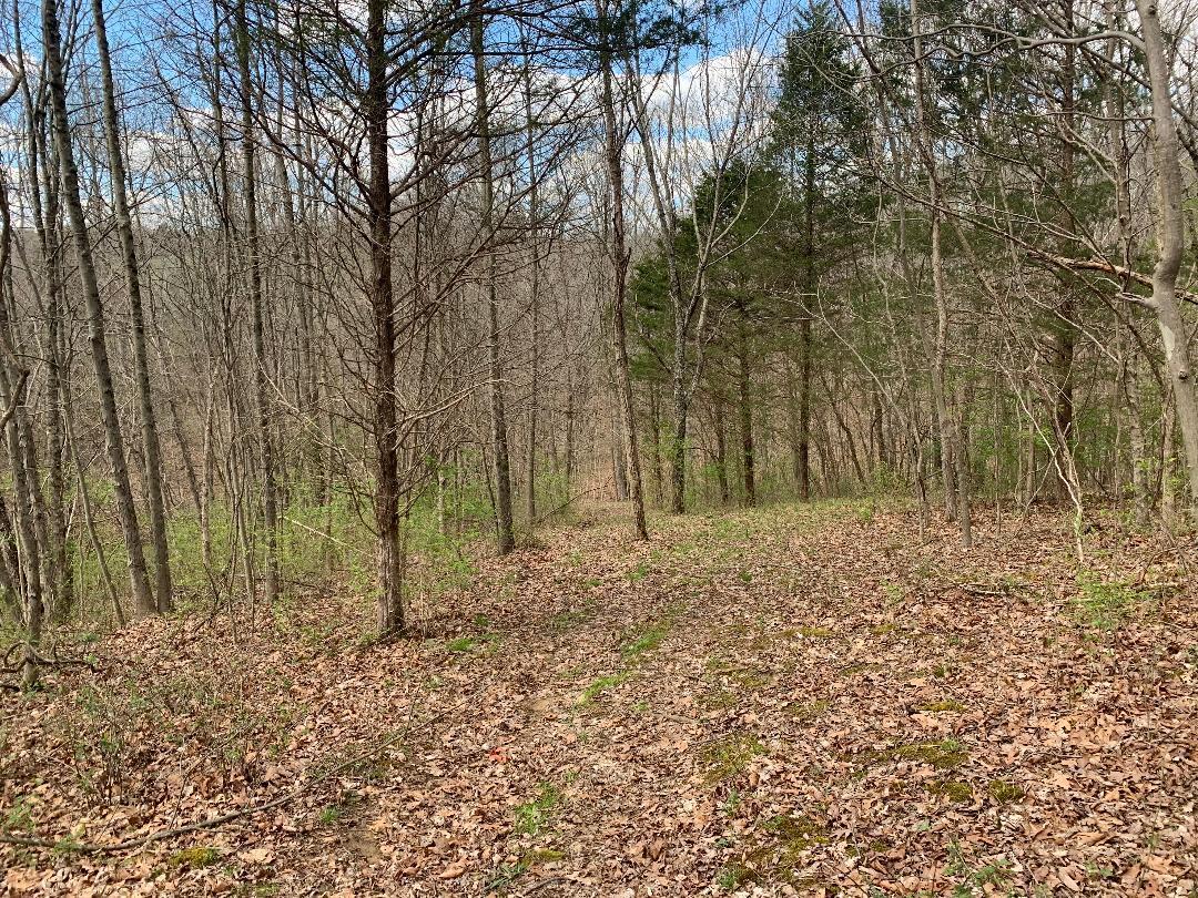 800 Eckler Road Dry Ridge, KY 41035 - Photo 11 of 50