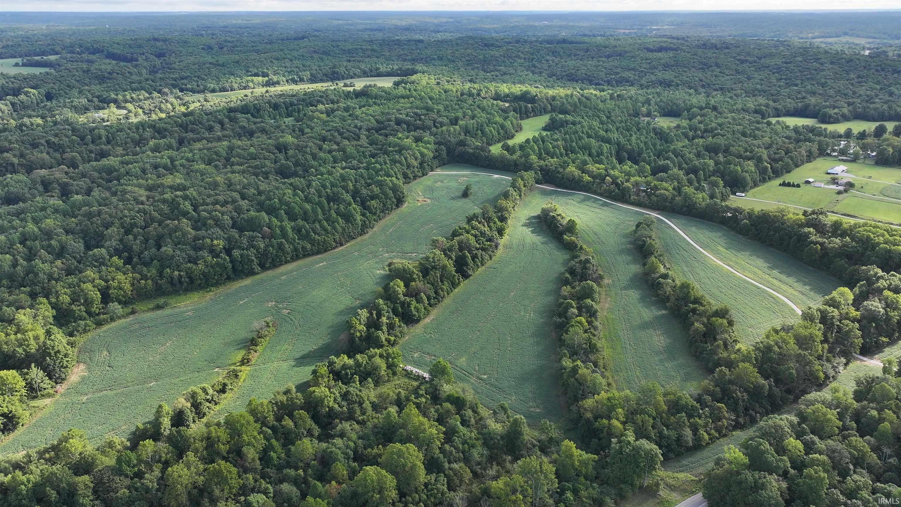 0 Goose Creek Road Freedom, IN 47431 - Photo 6 of 19