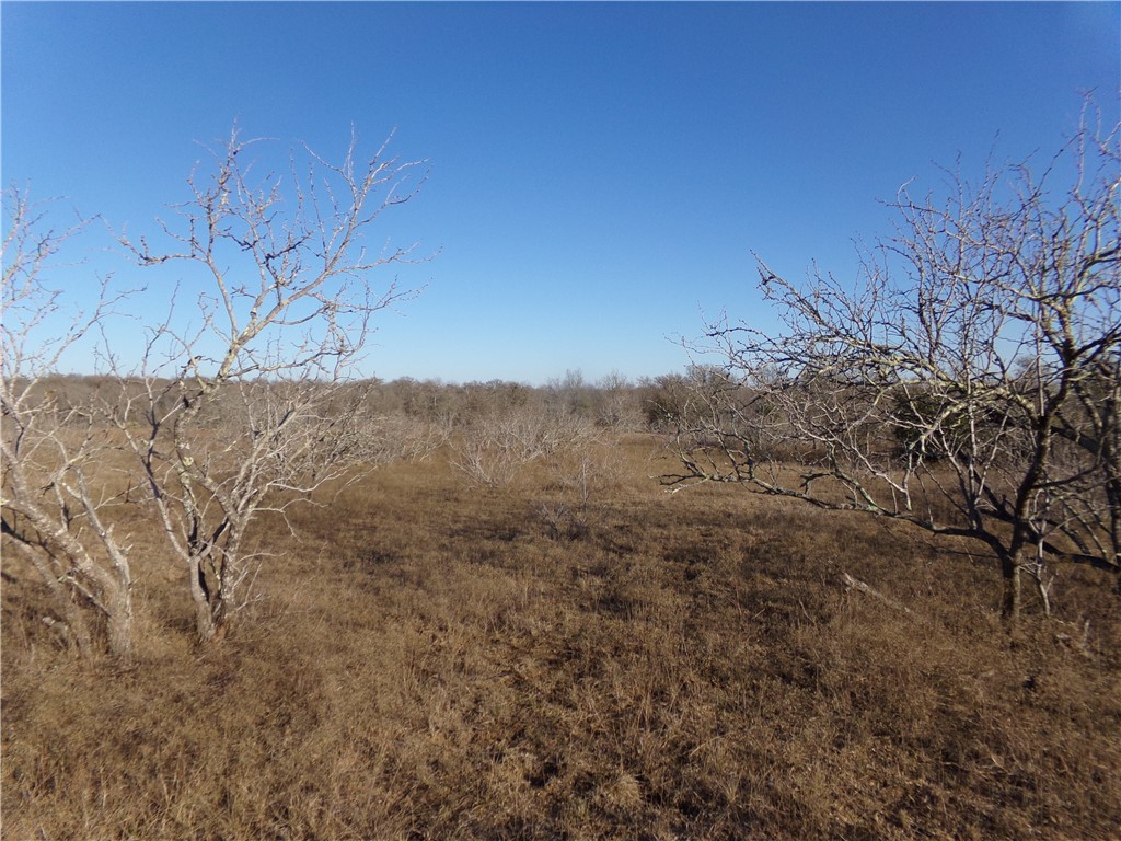 466 County Road 466 Elgin, TX 78621 - Photo 1 of 1 Pasture area on the west side of the acreage