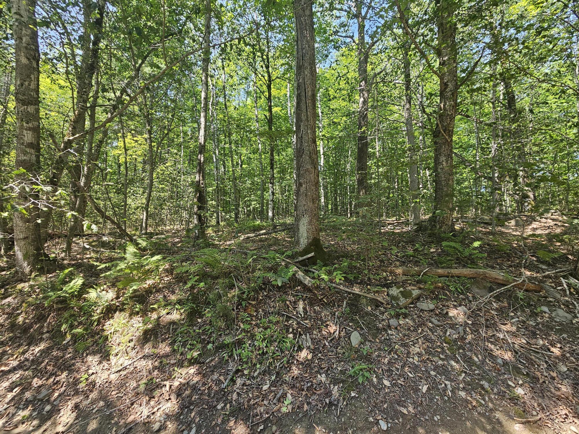 Lot 5 North Merrill Road Harmony, ME 04942 - Photo 9 of 11 20260708_110538