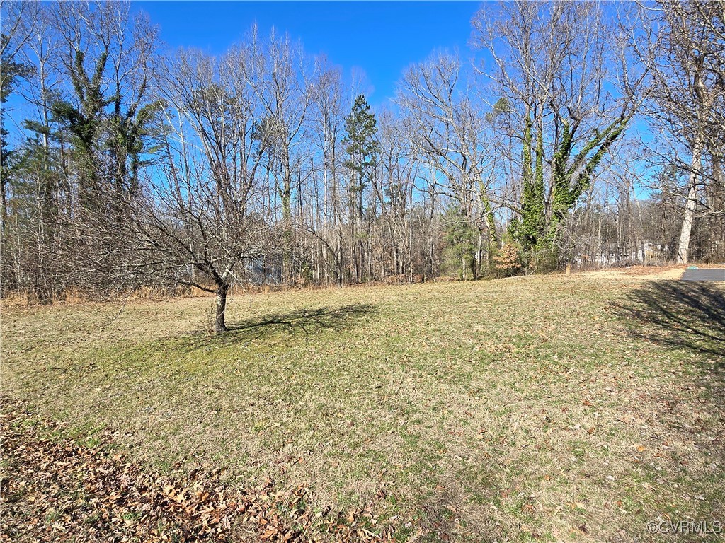 2830 Laughter Lane Chester, VA 23831 - Photo 1 of 5 View of yard