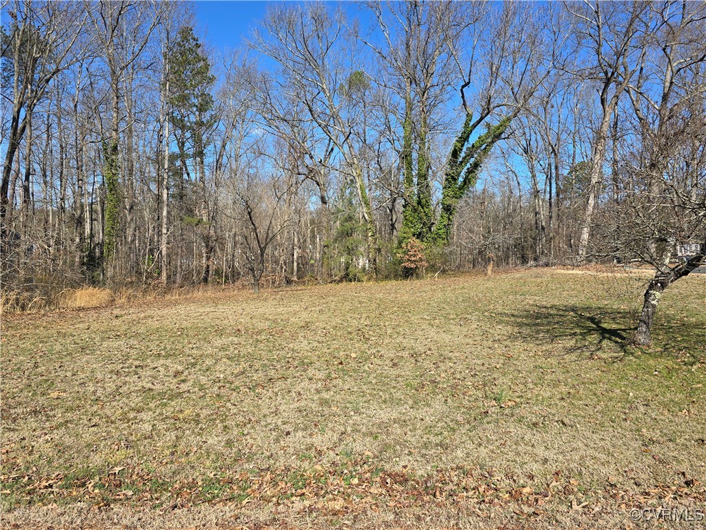 2830 Laughter Lane Chester, VA 23831 - Photo 2 of 5 View of yard