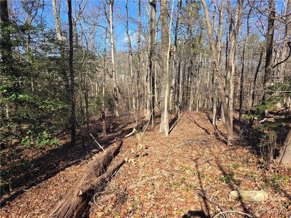2830 Laughter Lane Chester, VA 23831 - Photo 5 of 5 View of local wilderness featuring a wooded view