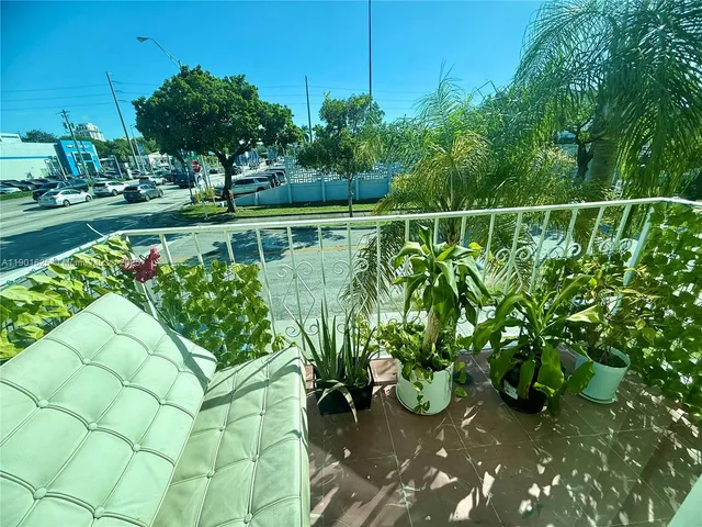 a view of a garden with a plant