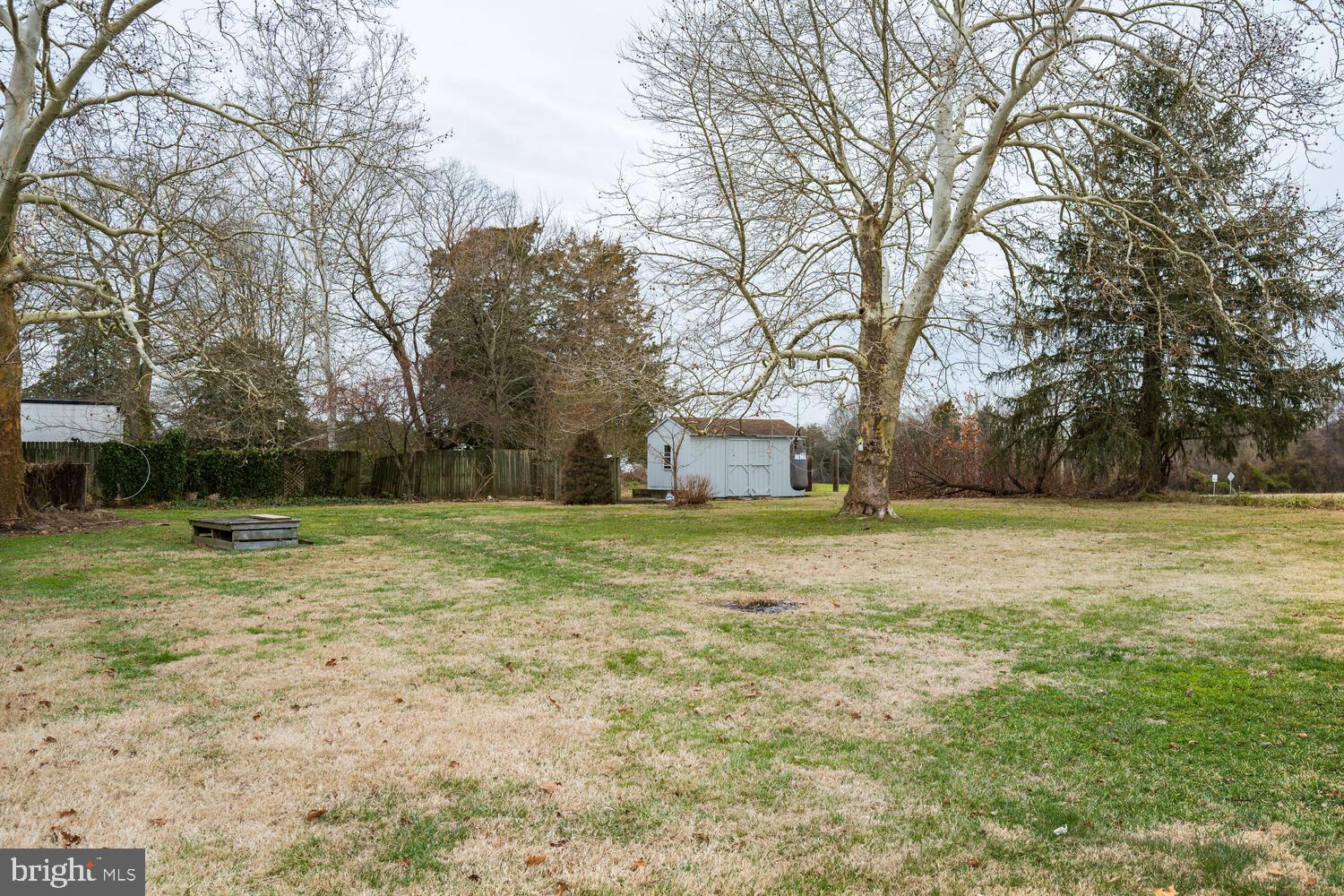 6746 Quaker Neck Road Chestertown, MD 21620 - Photo 13 of 50 Spacious yard with mature trees and potential.