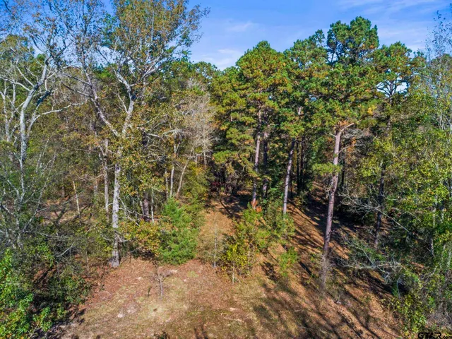 $135,000 | 396 Tyler Tx 75708, Tyler, TX 75708