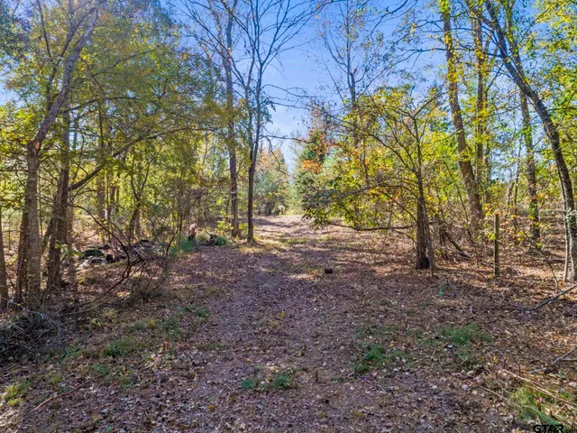 $135,000 | 396 Tyler Tx 75708, Tyler, TX 75708