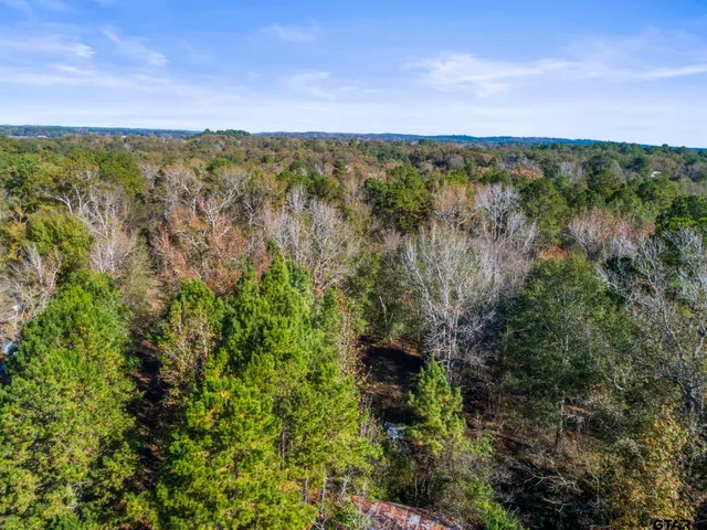 $135,000 | 396 Tyler Tx 75708, Tyler, TX 75708