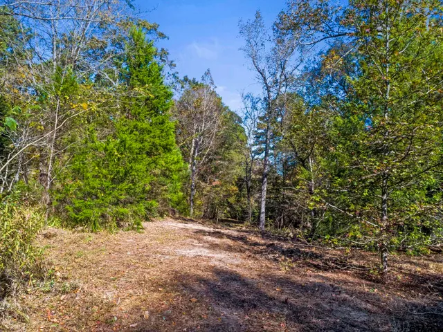 $135,000 | 396 Tyler Tx 75708, Tyler, TX 75708