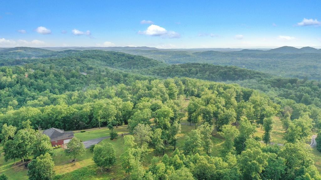 1797 Eads Bluff Road Northwest Georgetown, TN 37336 - Photo 57 of 61 Gallery Image 57
