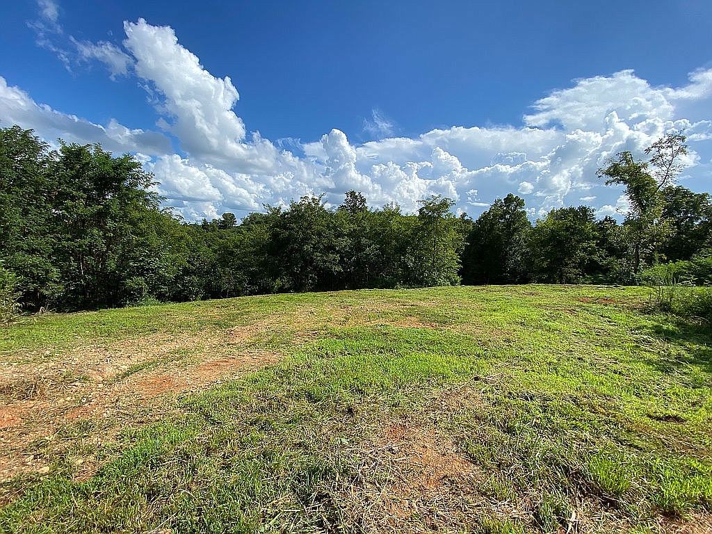 1398 Cliff Amos Road Spring Hill, TN 37174 - Photo 8 of 11