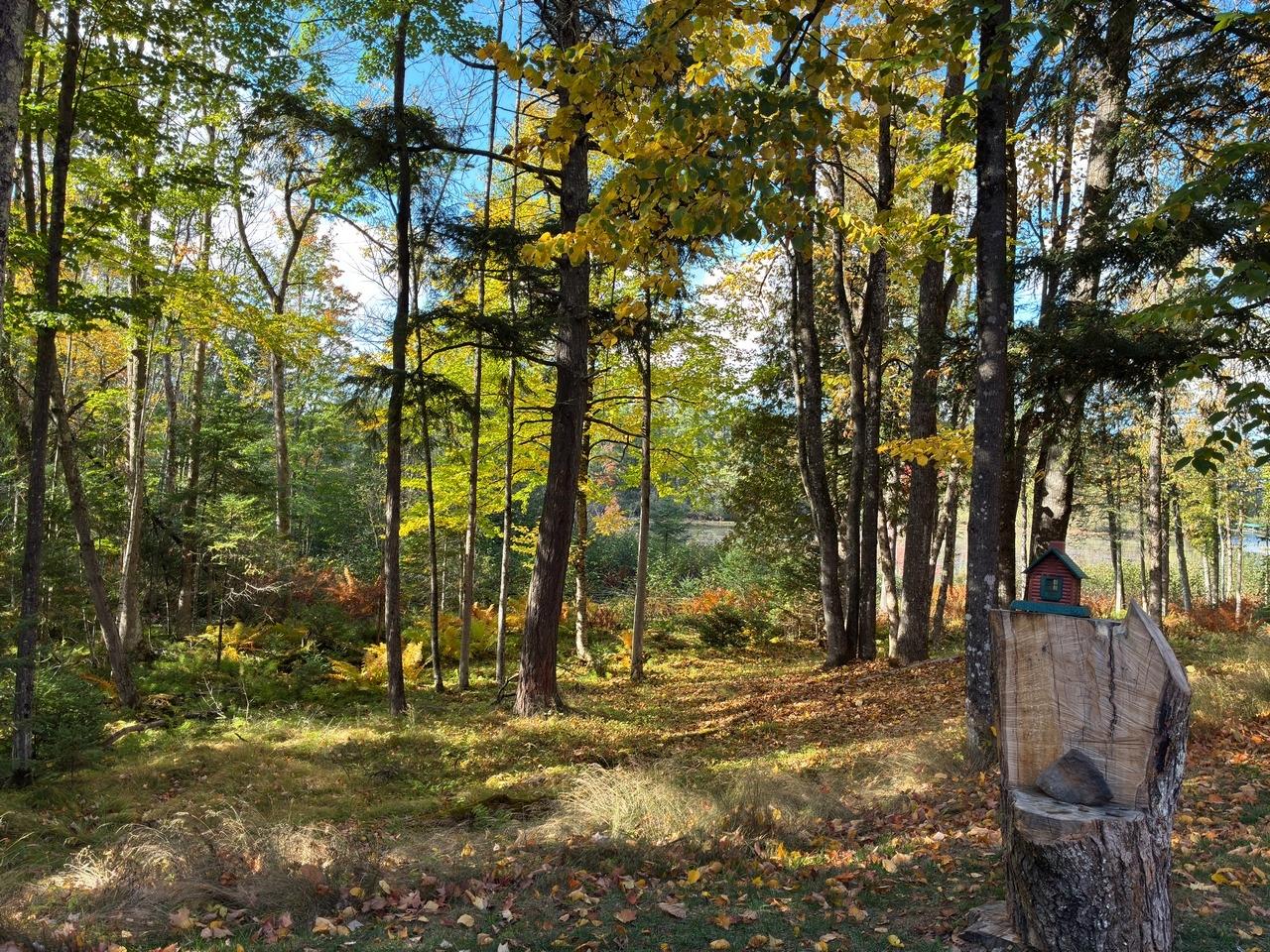 2510 Martha Lake Road, Unit 5 Mercer, WI 54547 - Photo 12 of 28 Gallery Image 12