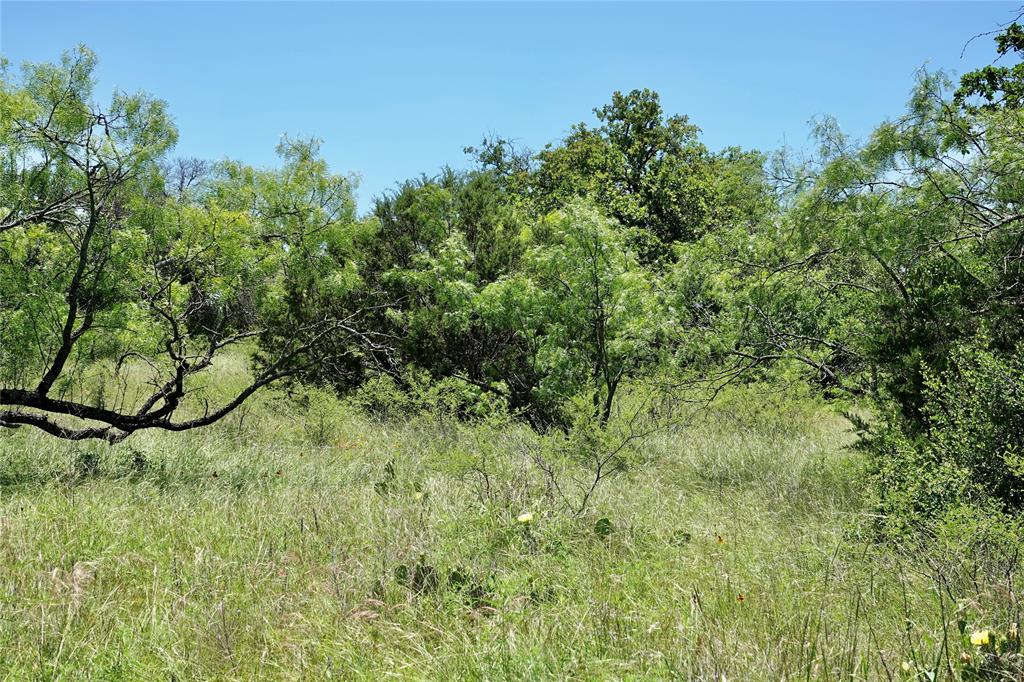 219 C R 550 Mullin, TX 76864 - Photo 35 of 37 a view of a yard