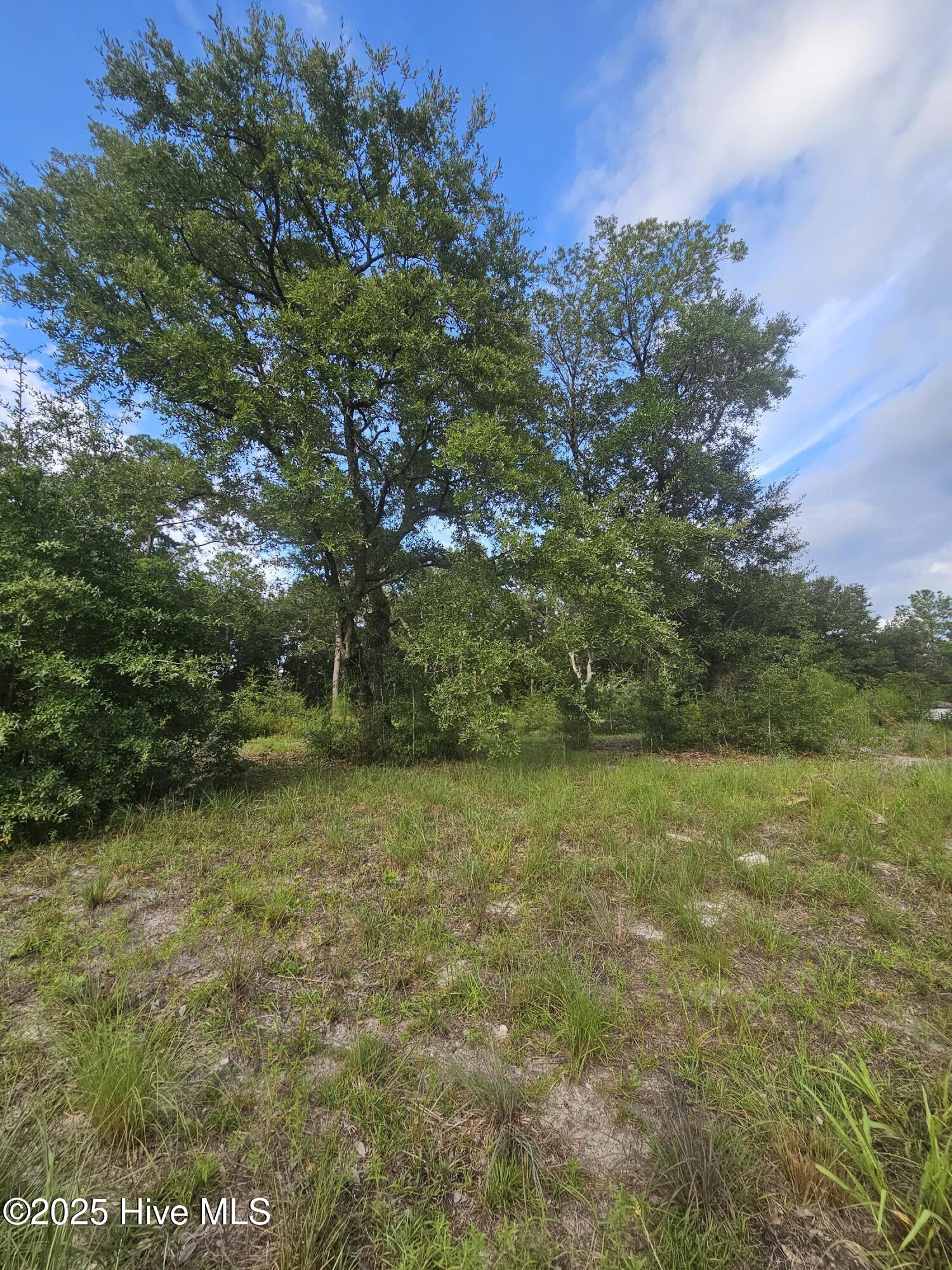 162 Holden Road Holly Ridge, NC 28445 - Photo 9 of 9 20250822_174445