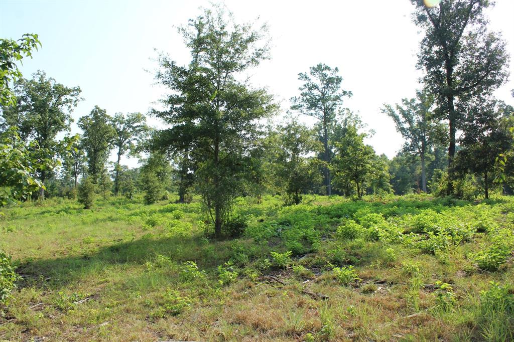 0 Germantown Road Minden, LA 71055 - Photo 2 of 4 Gallery Image 2