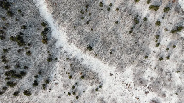 $186,500 | 0 State Highway, Cadott, WI 54727