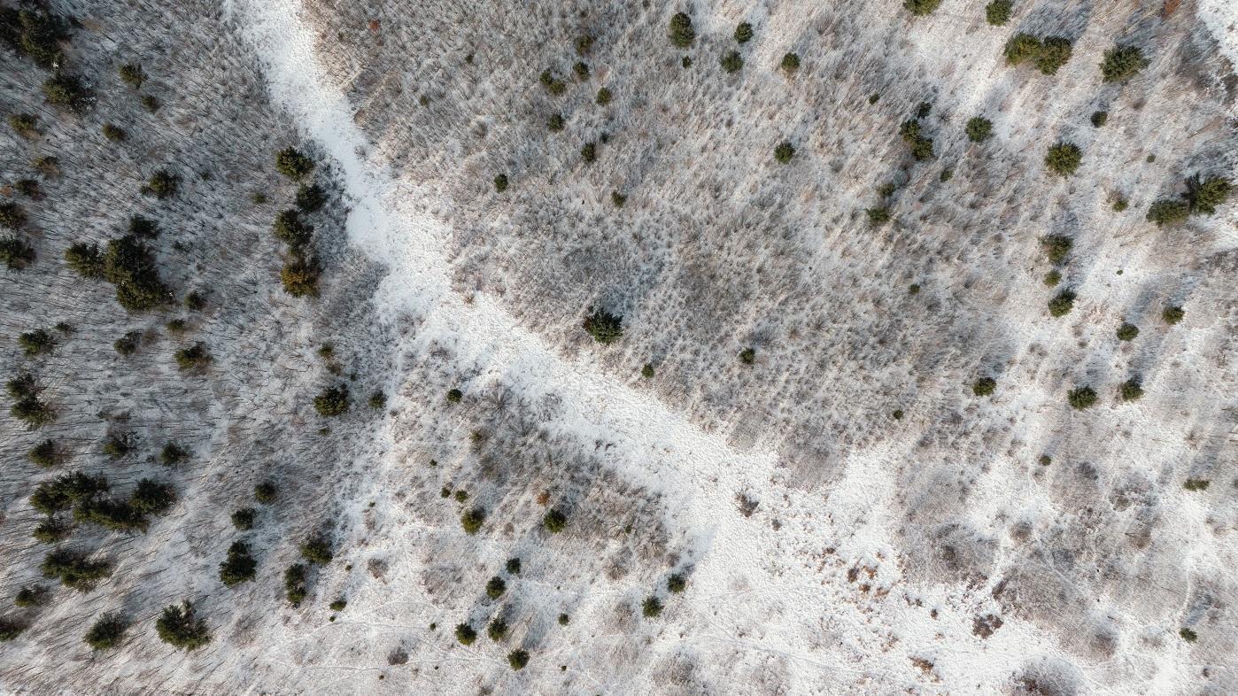 0 State Highway Cadott, WI 54727 - Photo 9 of 22