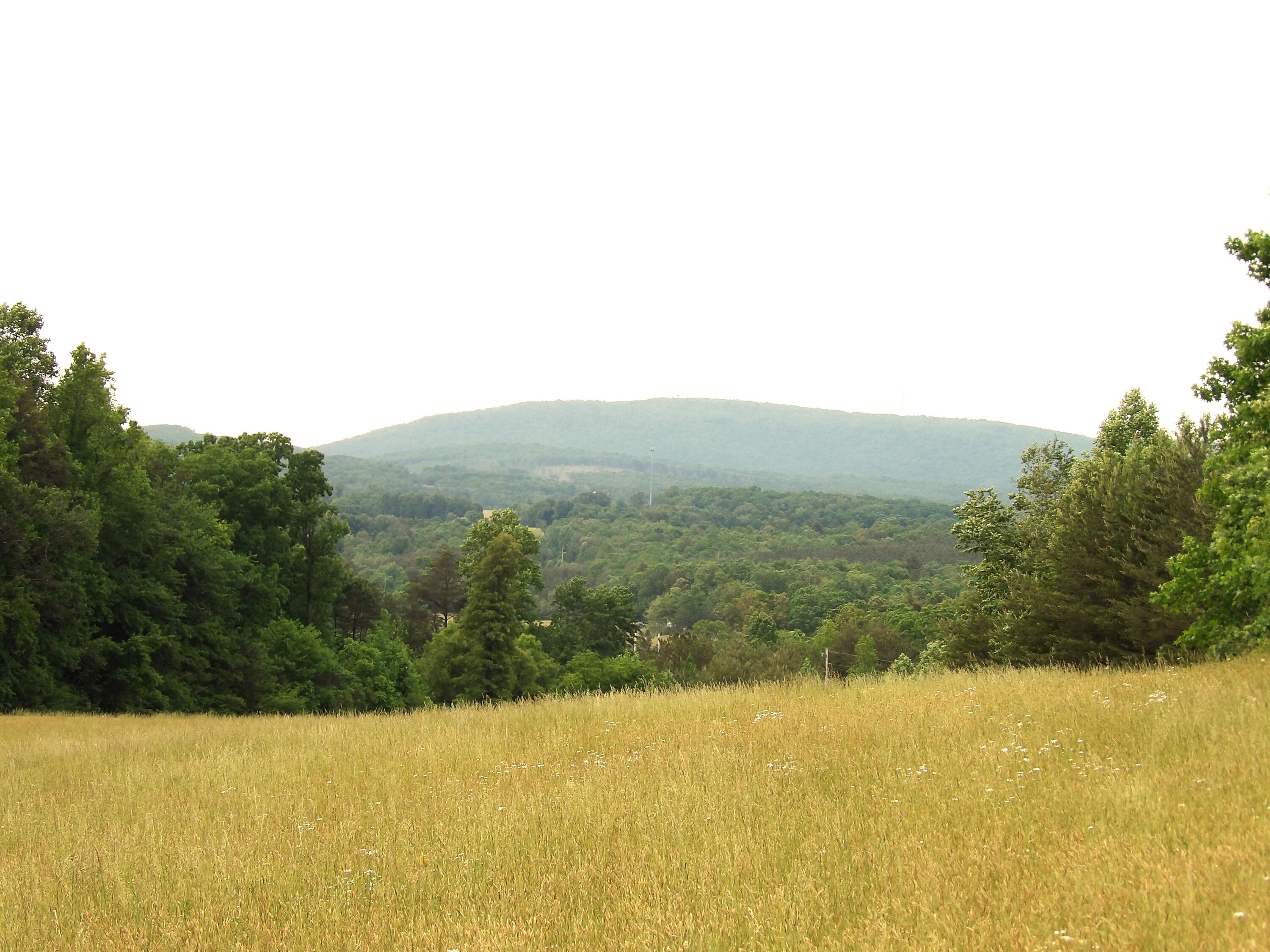 0 Jewett Road Grandview, TN 37337 - Photo 1 of 24 100_1321