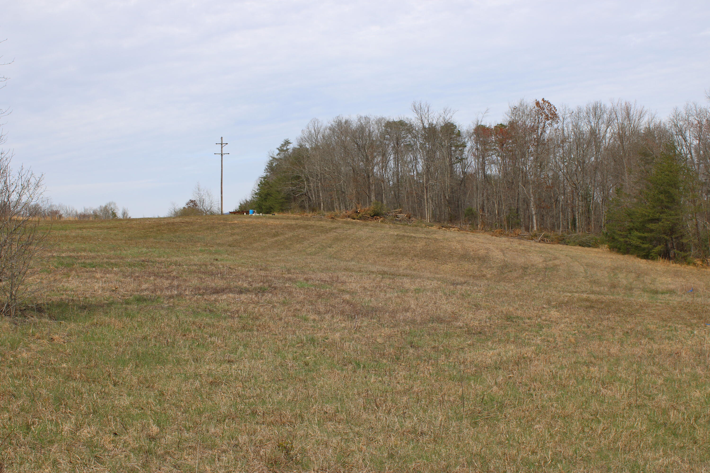 0 Jewett Road Grandview, TN 37337 - Photo 11 of 24 IMG_0057