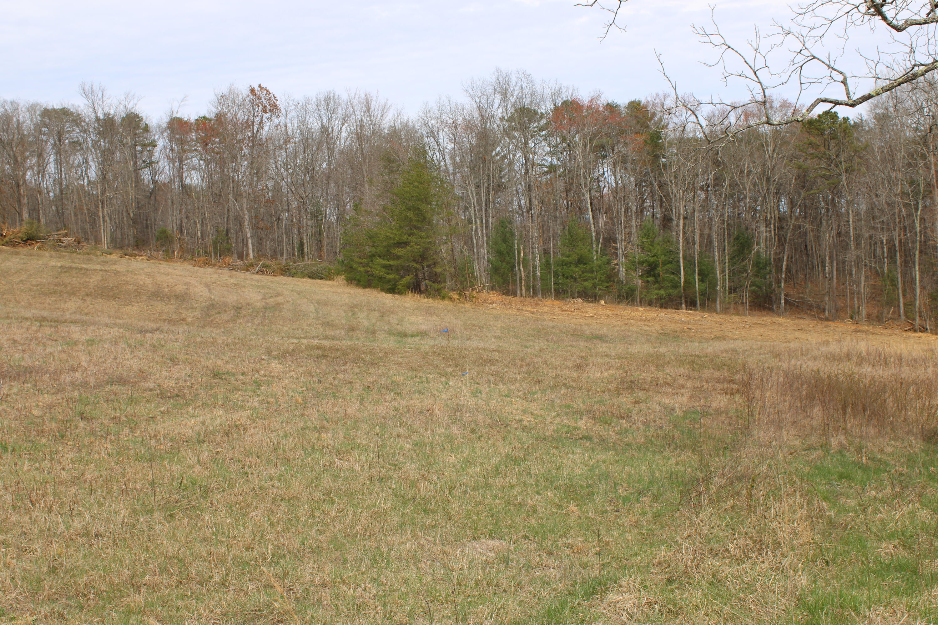 0 Jewett Road Grandview, TN 37337 - Photo 12 of 24 IMG_0058