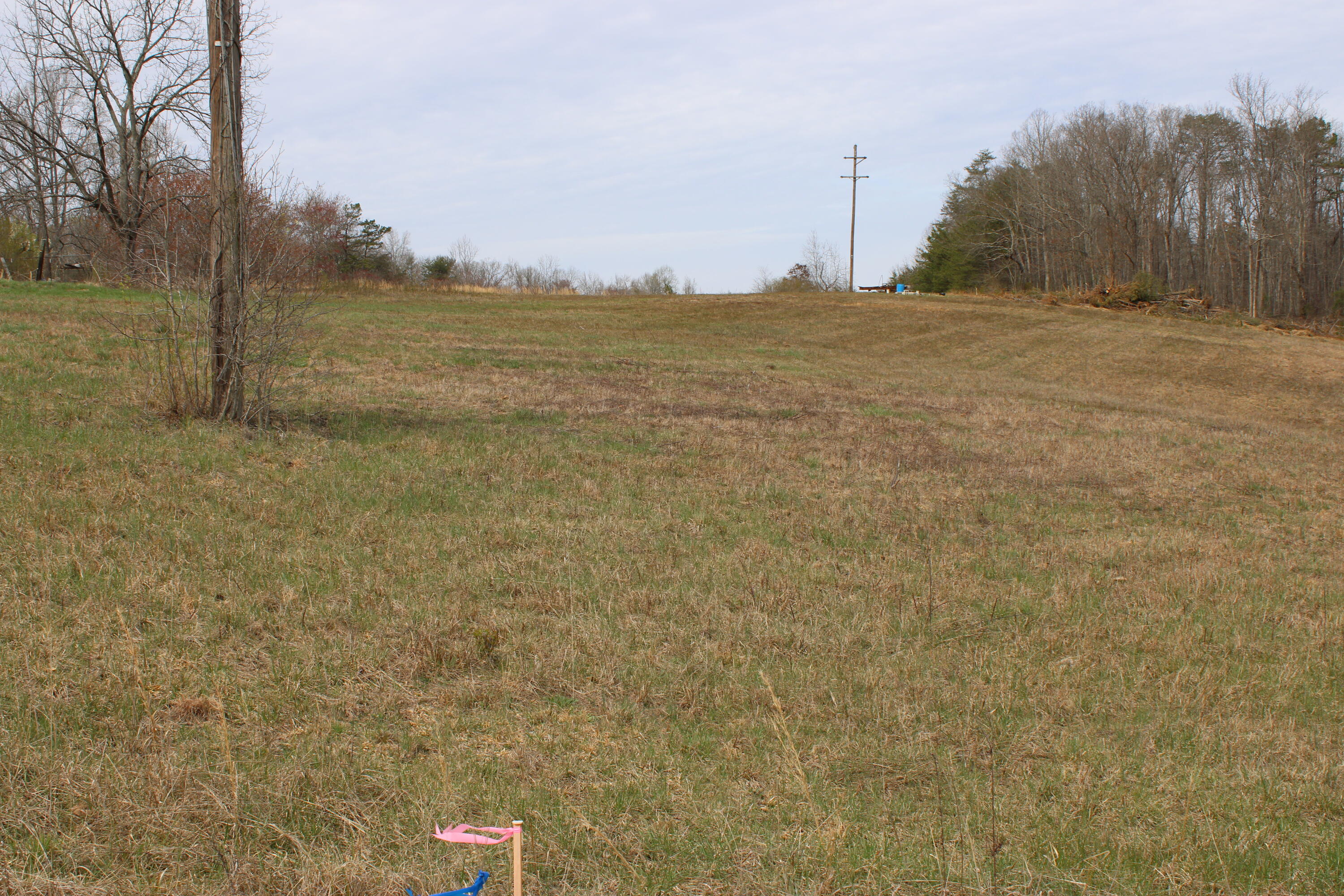 0 Jewett Road Grandview, TN 37337 - Photo 13 of 24 IMG_0060