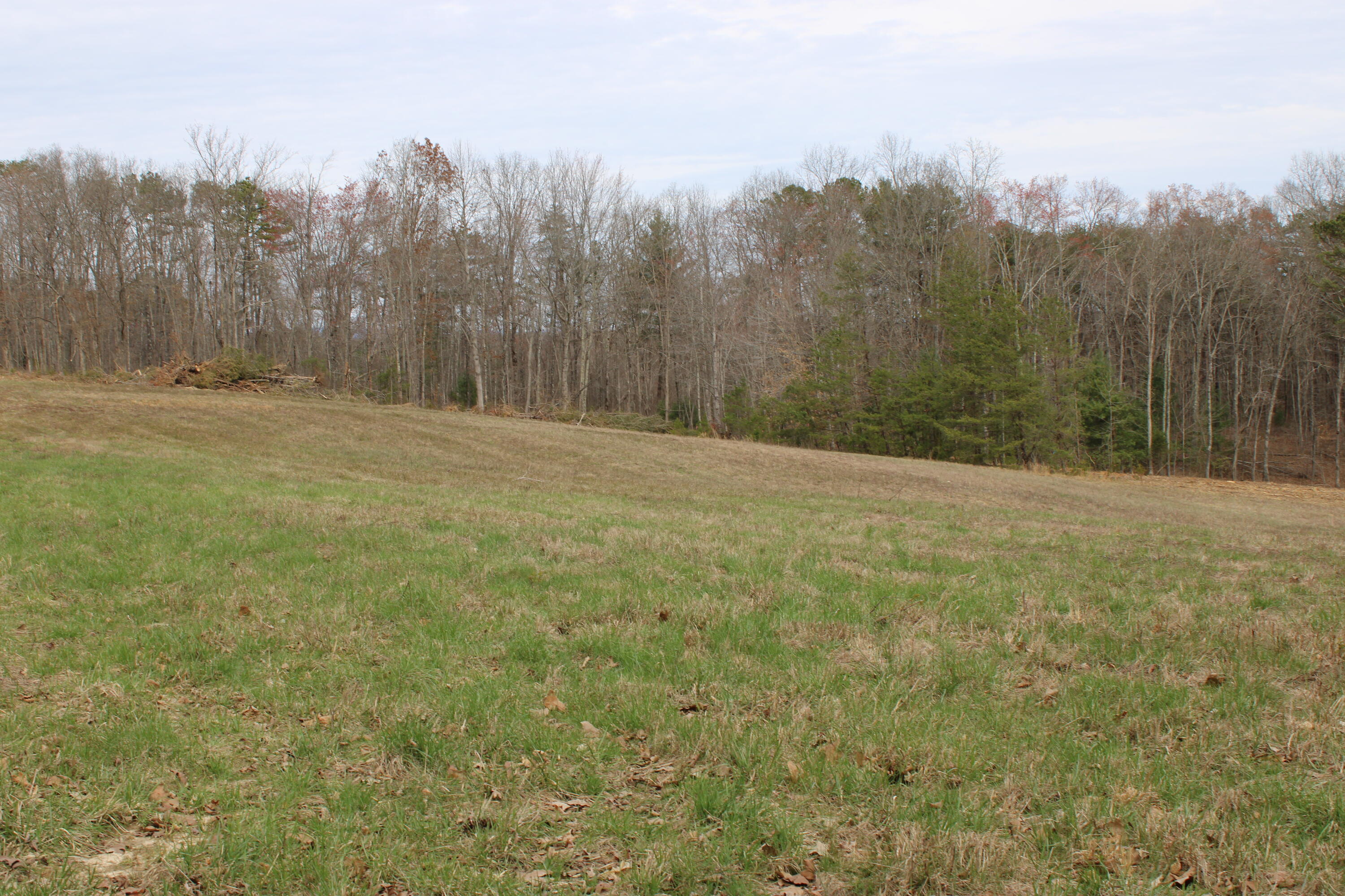 0 Jewett Road Grandview, TN 37337 - Photo 14 of 24 IMG_0062