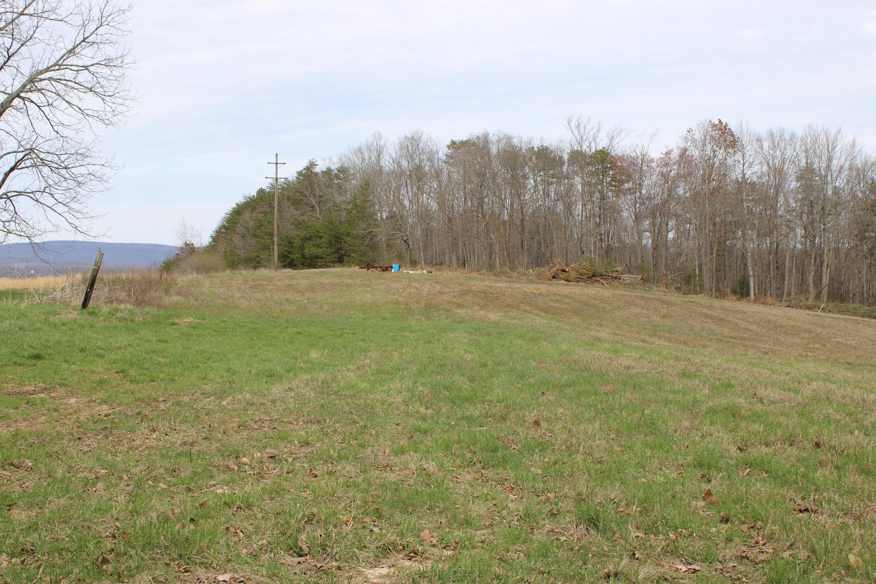 0 Jewett Road Grandview, TN 37337 - Photo 15 of 24 IMG_0063