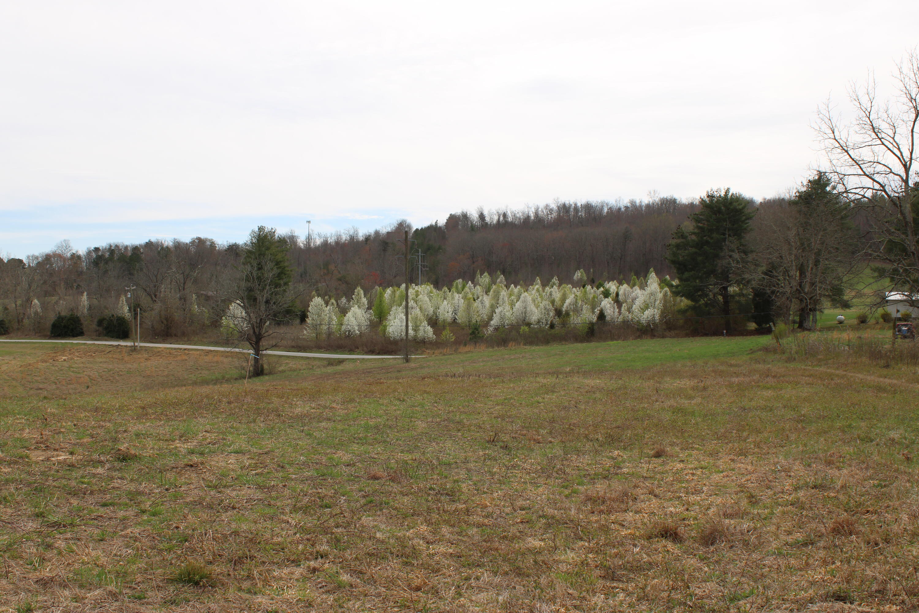 0 Jewett Road Grandview, TN 37337 - Photo 16 of 24 IMG_0064