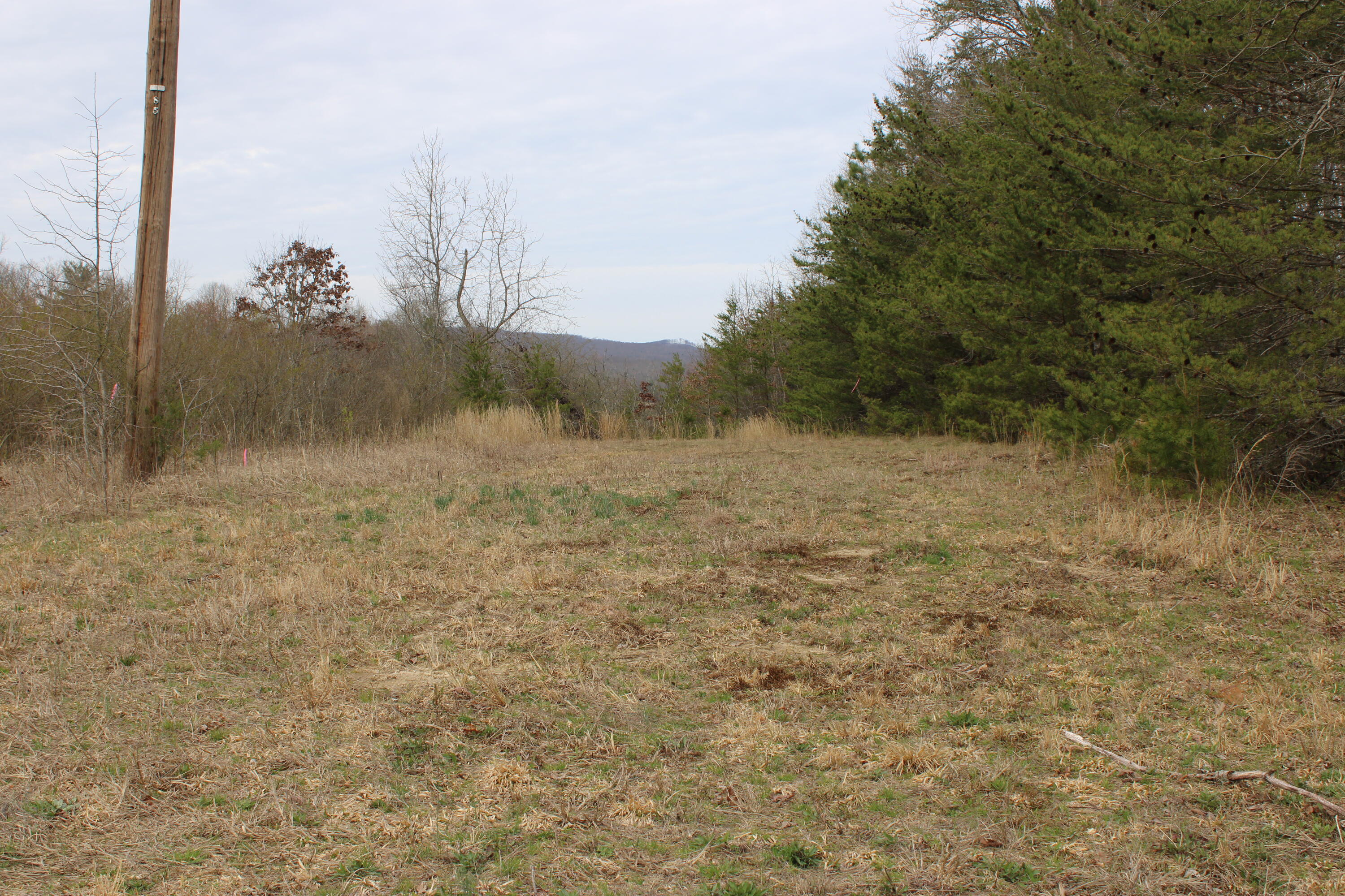 0 Jewett Road Grandview, TN 37337 - Photo 17 of 24 IMG_0067