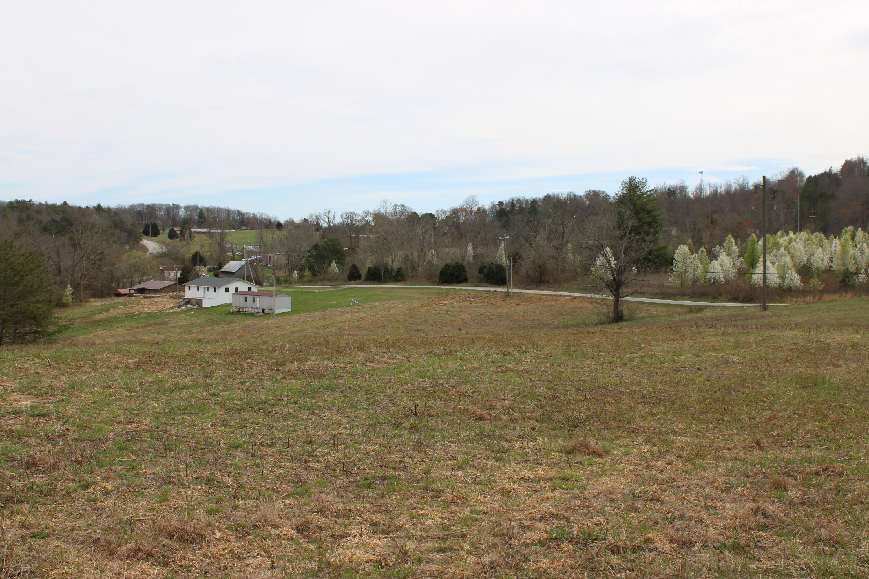 0 Jewett Road Grandview, TN 37337 - Photo 18 of 24 IMG_0068