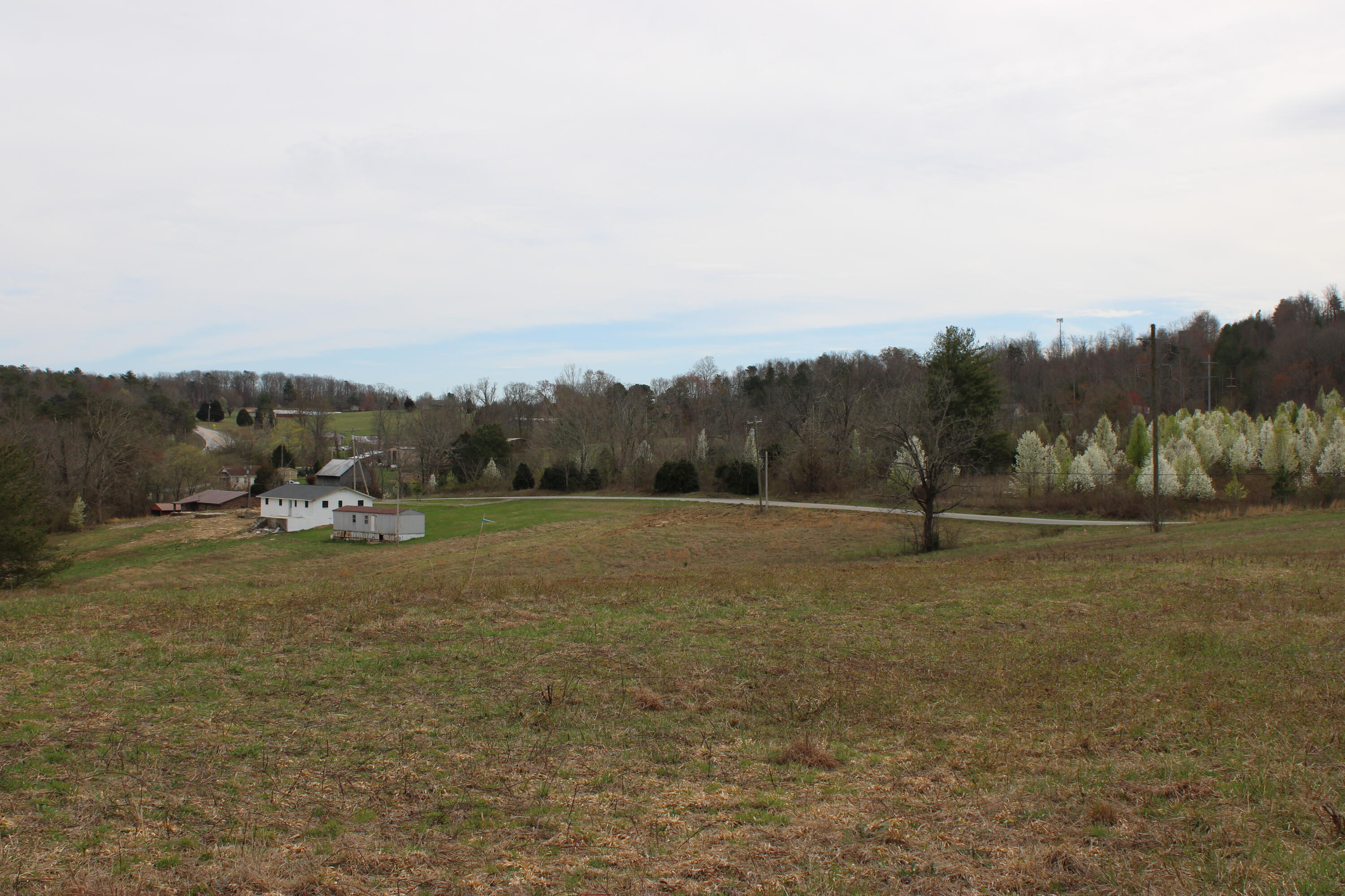 0 Jewett Road Grandview, TN 37337 - Photo 19 of 24 IMG_0069
