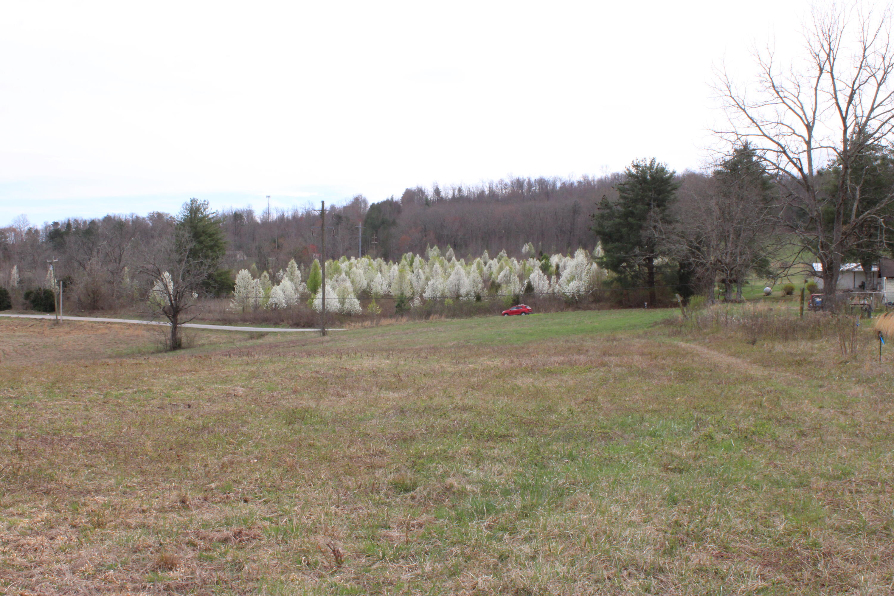 0 Jewett Road Grandview, TN 37337 - Photo 21 of 24 IMG_0071