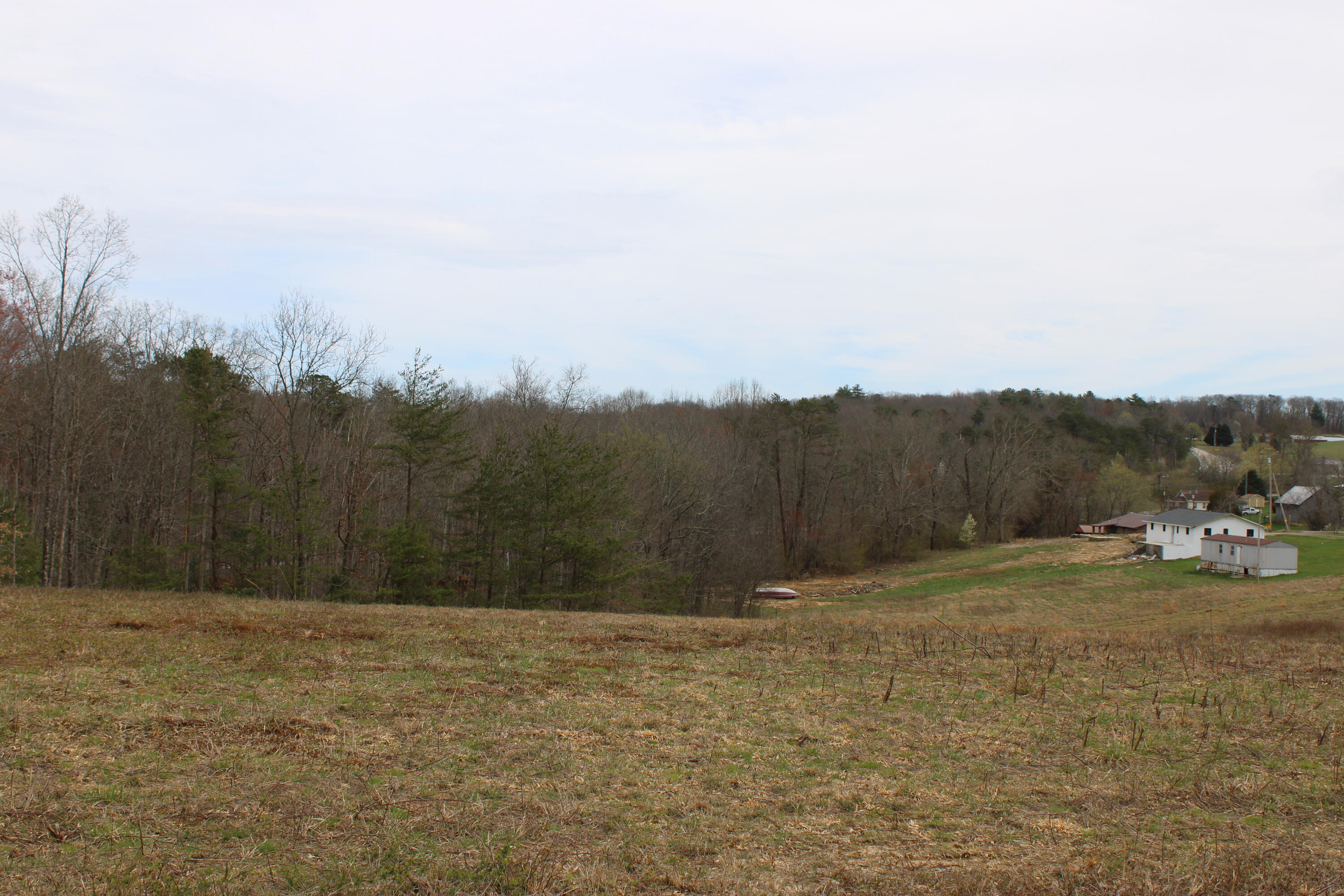 0 Jewett Road Grandview, TN 37337 - Photo 22 of 24 IMG_0073