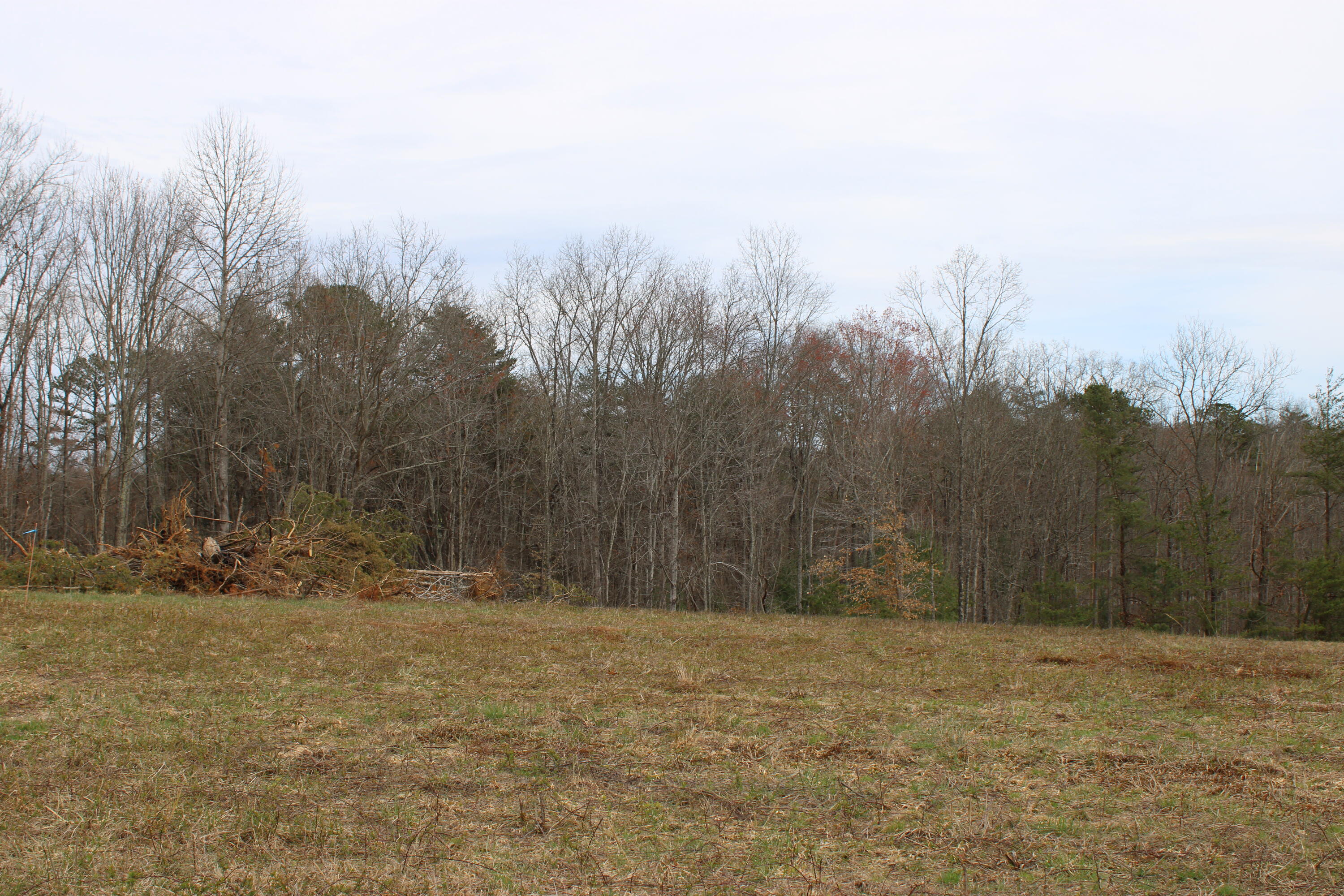 0 Jewett Road Grandview, TN 37337 - Photo 23 of 24 IMG_0074