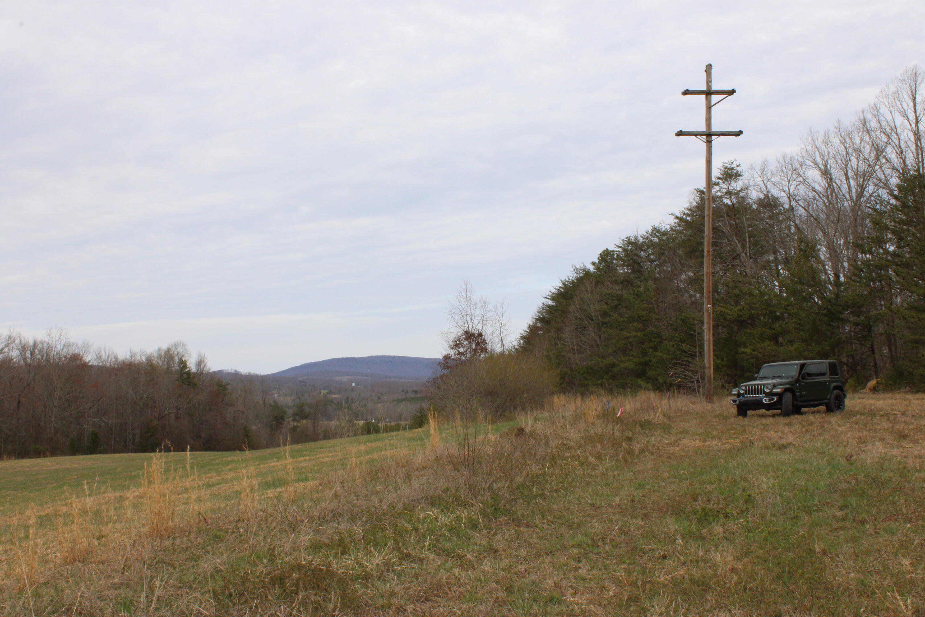 0 Jewett Road Grandview, TN 37337 - Photo 24 of 24 IMG_0076