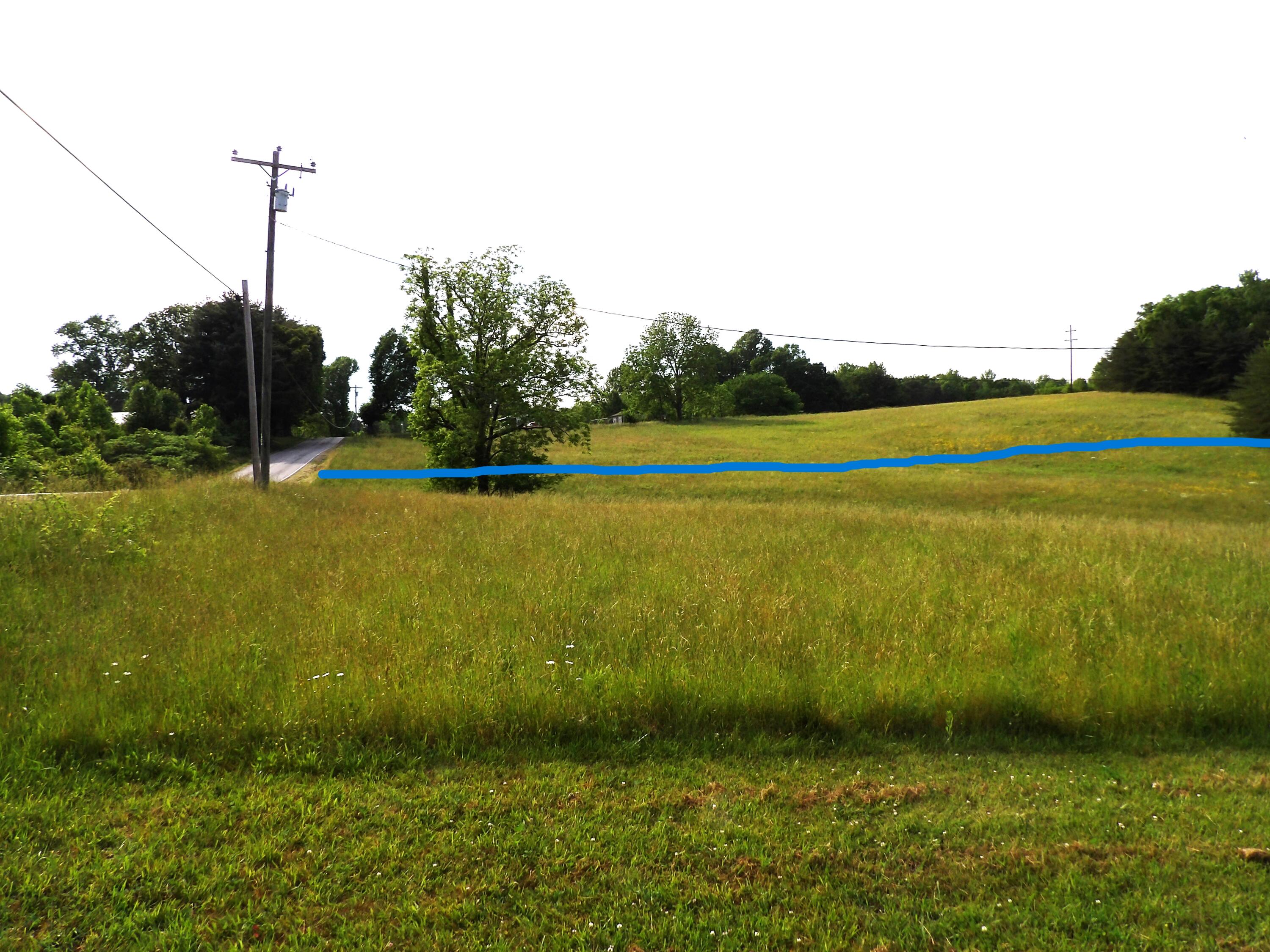0 Jewett Road Grandview, TN 37337 - Photo 3 of 24 100_1312