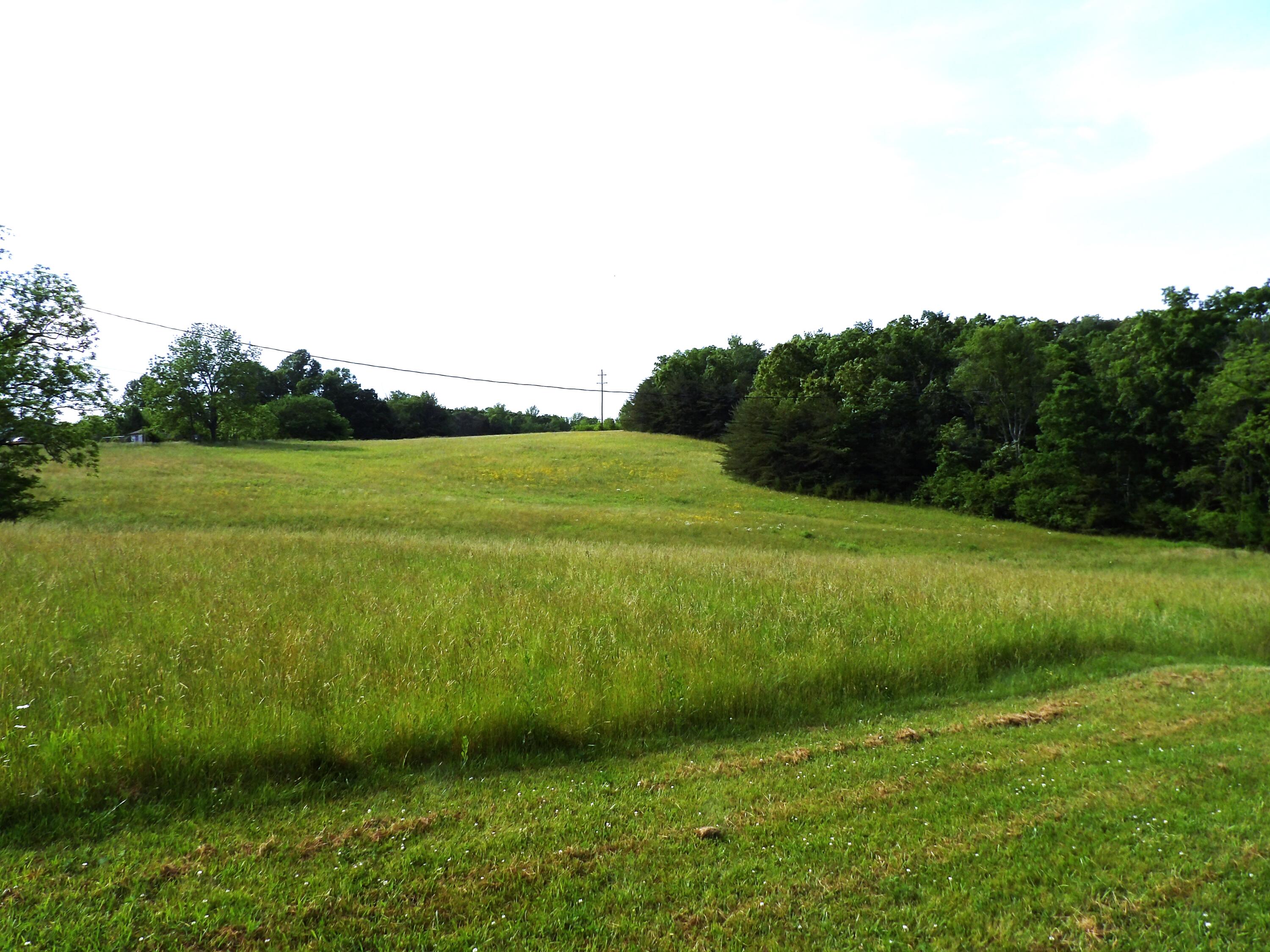 0 Jewett Road Grandview, TN 37337 - Photo 4 of 24 100_1313