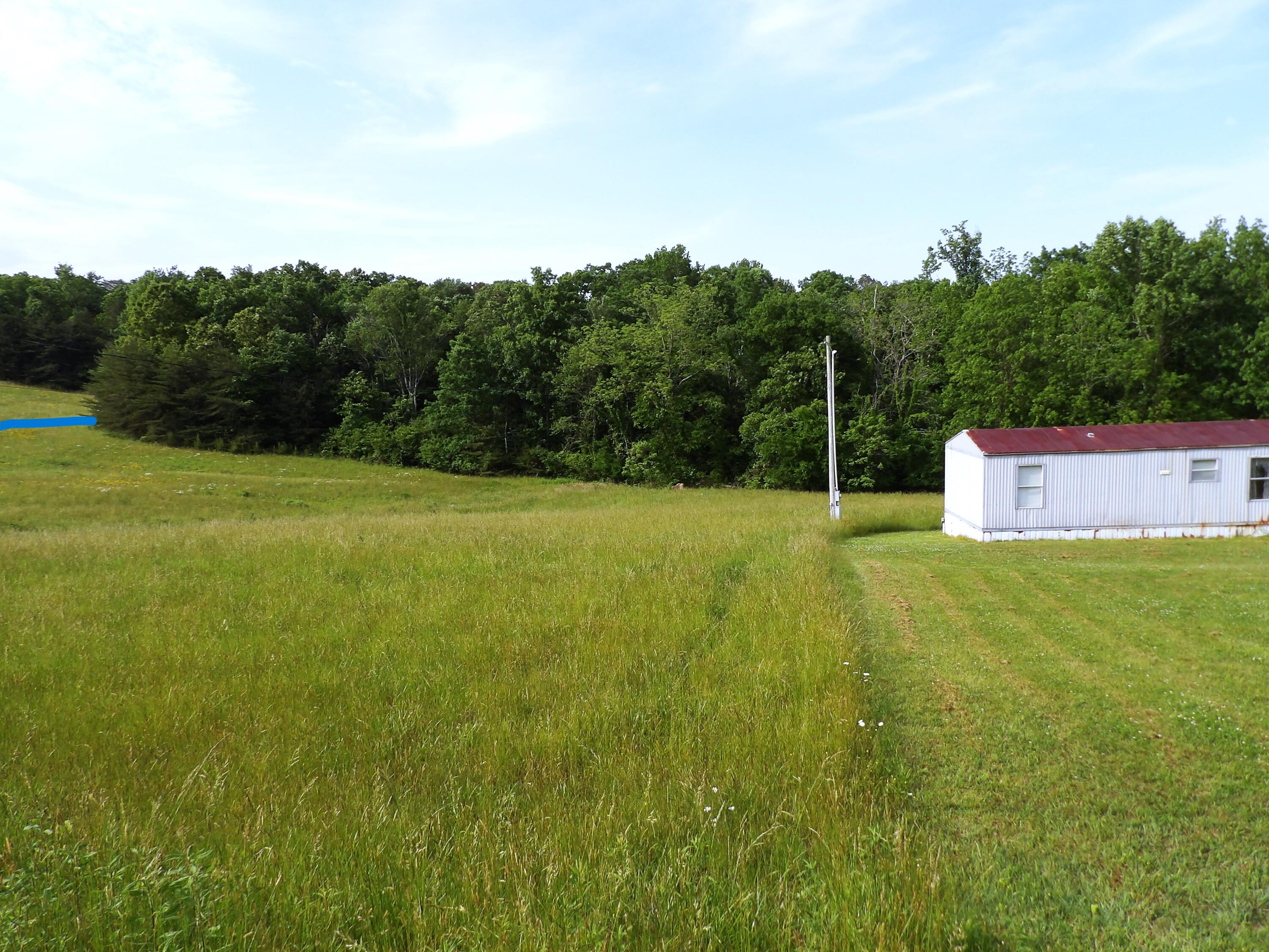0 Jewett Road Grandview, TN 37337 - Photo 6 of 24 100_1315