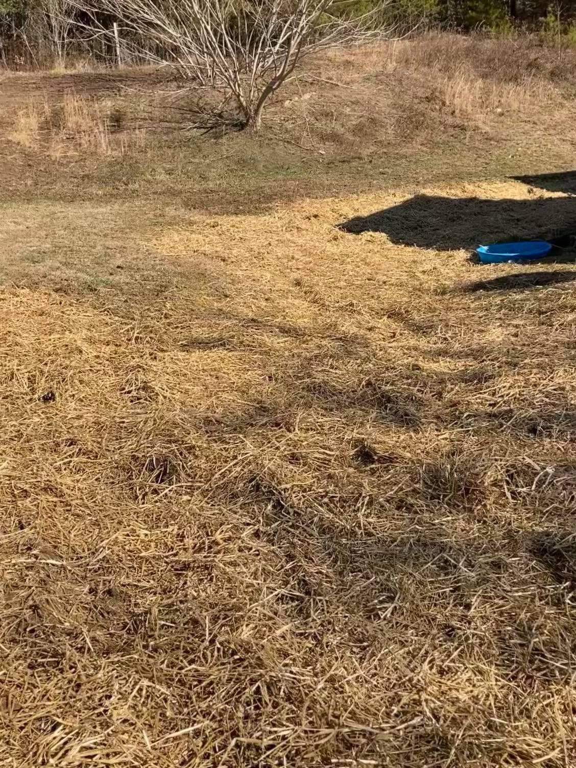 1046 Satterfield Road Maynardville, TN 37807 - Photo 6 of 26 Back Yard
